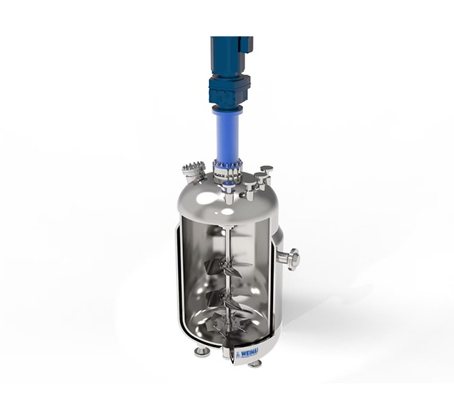 Magnetic Drive Agitator